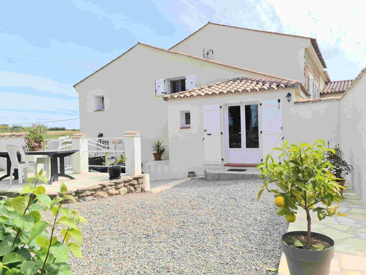 Gites A Moussan ,Domaine De La Barque A 5 Mins De Narbonne Exterior foto